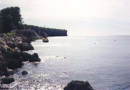 TIB 174