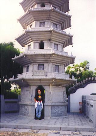 TIB 223