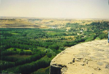TIB 26