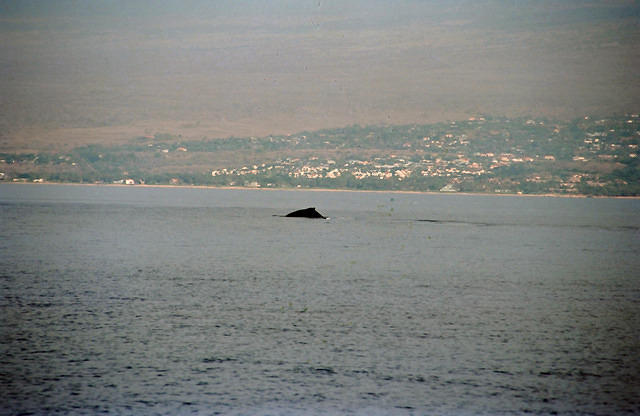 00074 n 16ajptvtbh0661 r