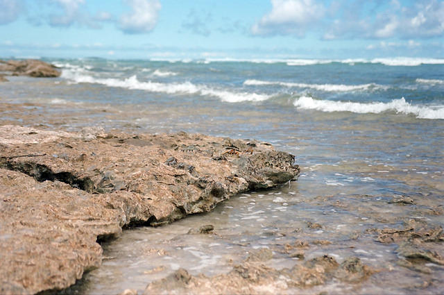 00089 n 16ajptvtbh0676