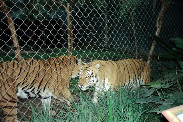 00677 n 16ajptvtbh1264