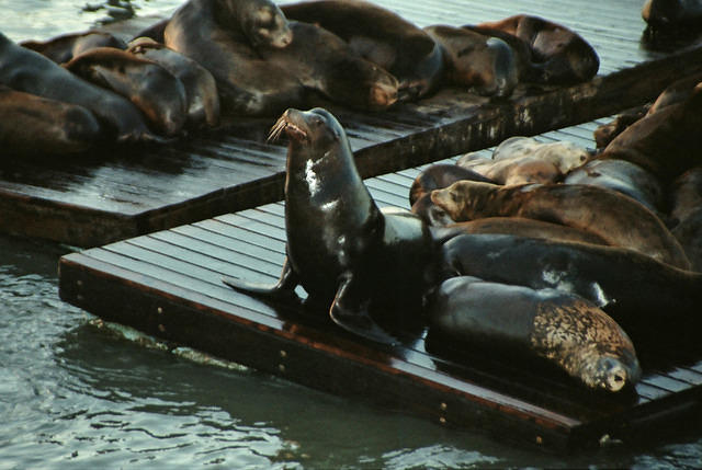 00775 n 16ajptvtbh1362