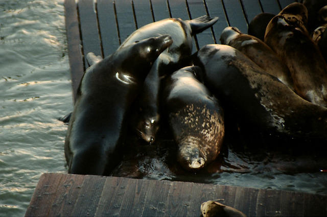 00781 n 16ajptvtbh1368