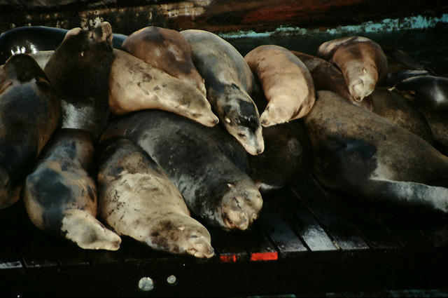 00782 n 16ajptvtbh1369