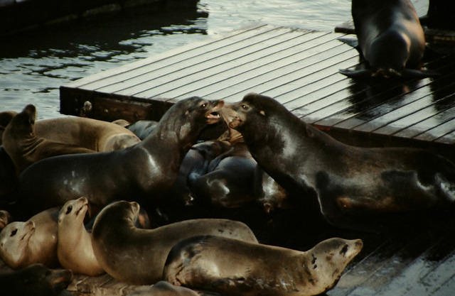 00784 n 16ajptvtbh1371