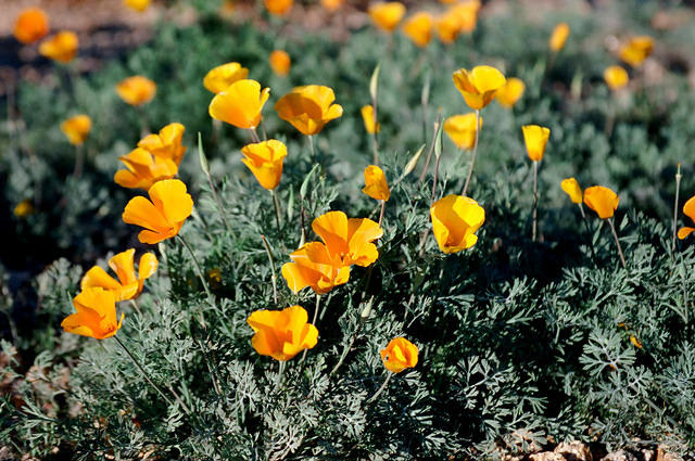 00822 n 16ajptvtbh1409