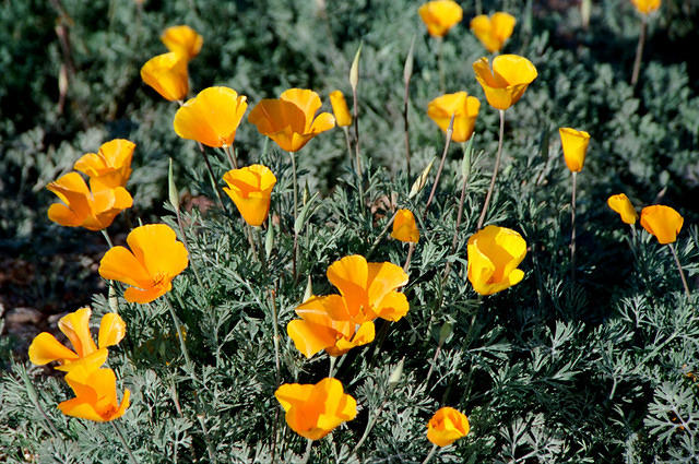 00824 n 16ajptvtbh1411