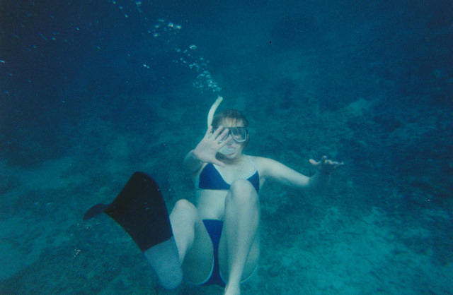 01491 p 16ajptvtbh0477