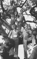 guysintree