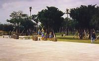 TIB 224