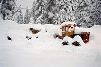 00006 n 16ajptvtbh0593