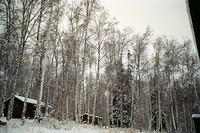 00044 n 16ajptvtbh0631