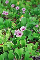 00091 n 16ajptvtbh0678