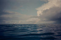 00193 n 16ajptvtbh0780