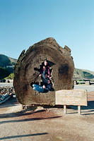 00747 n 16ajptvtbh1334