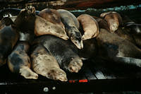 00782 n 16ajptvtbh1369