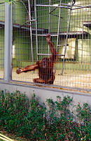 01155 p 16ajptvtbh0141