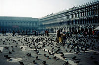 01167 p 16ajptvtbh0153