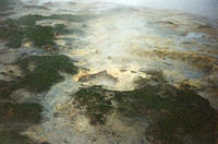 01236 p 16ajptvtbh0222 g